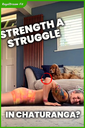 Having trouble with chaturanga???